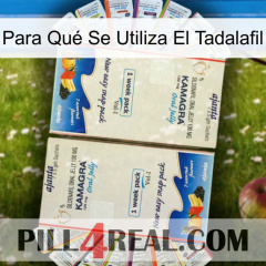 Para Qué Se Utiliza El Tadalafil kamagra1